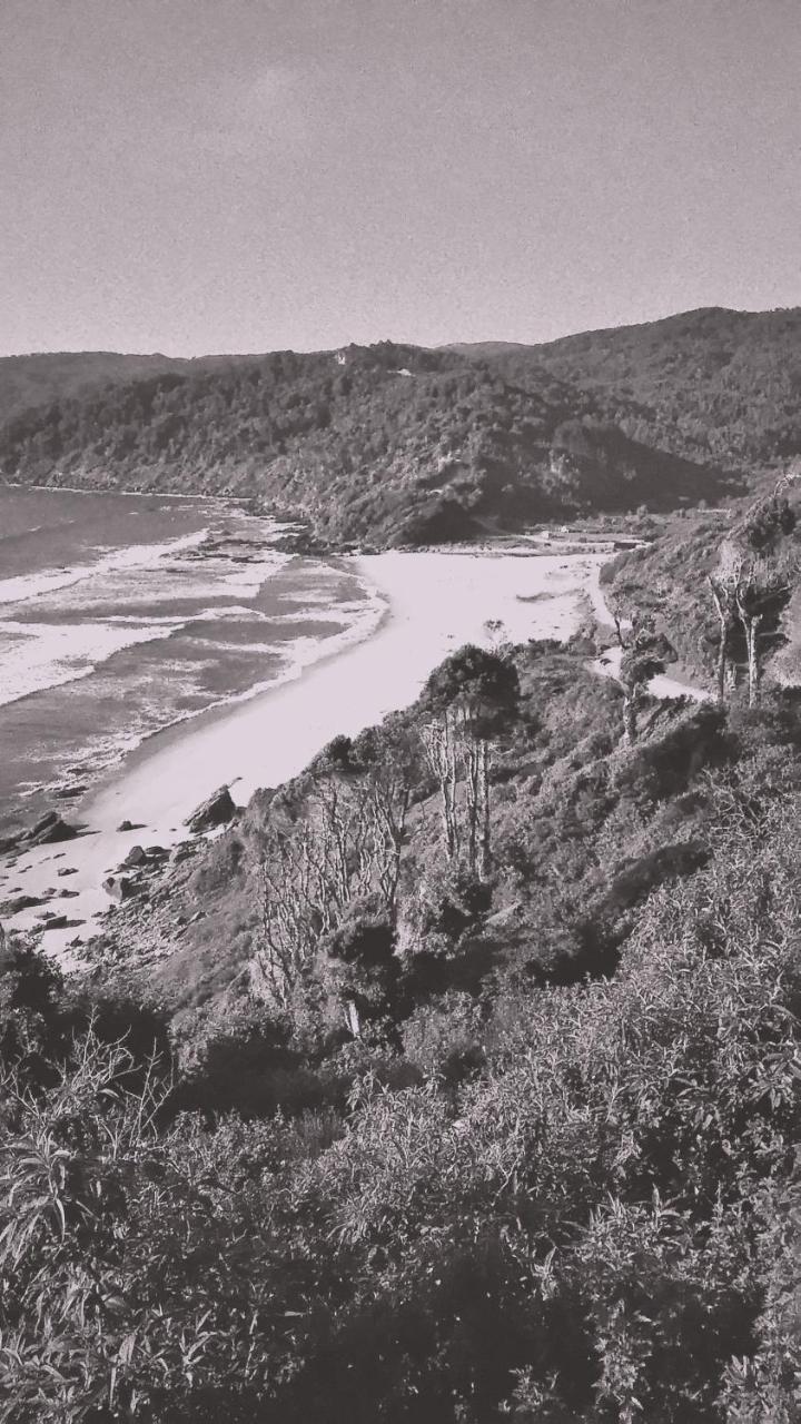Torre's Chalé Guayusca
